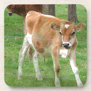Niedliches Little Calf Untersetzer