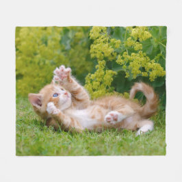 Niedliches, lustiges Katzenkätzchen in einem Blume Fleecedecke