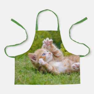 Niedliches, lustiges Katzenkätzchen in einem Blume Schürze