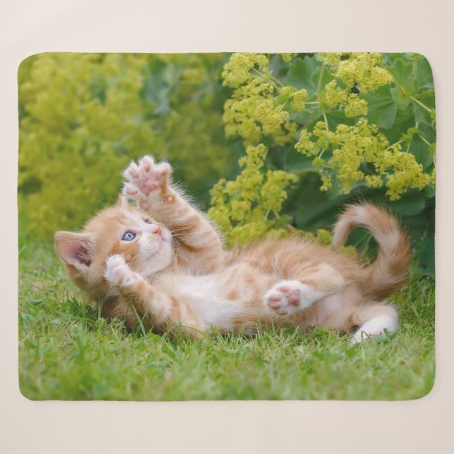 Niedliches, lustiges Katzenkätzchen in einem Blume Sherpadecke (Vorderseite (Horizontal))