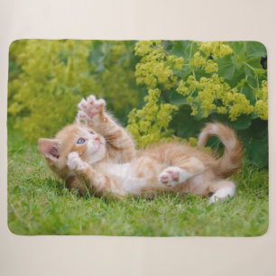 Niedliches, lustiges Katzenkätzchen in einem Blume Sherpadecke