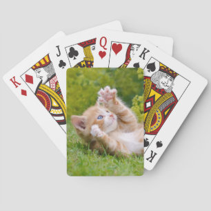 Niedliches, lustiges Katzenkätzchen in einem Blume Spielkarten