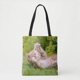 Niedliches, lustiges Katzenkätzchen in einem Blume Tasche
