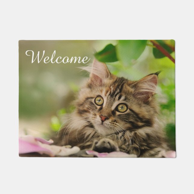 Niedliches Maine-Waschbär-Katzen-Kätzchen-Foto - Fußmatte (Vorderseite)