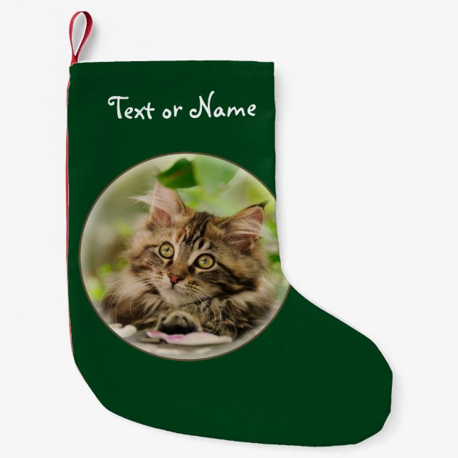 Niedliches Maine-Waschbär-Katzen-Kätzchen - Kleiner Weihnachtsstrumpf (Vorderseite)