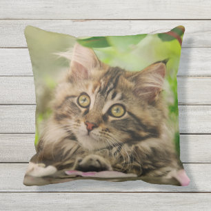 Niedliches Maine-Waschbär-Katzen-Kätzchen-Portr Kissen