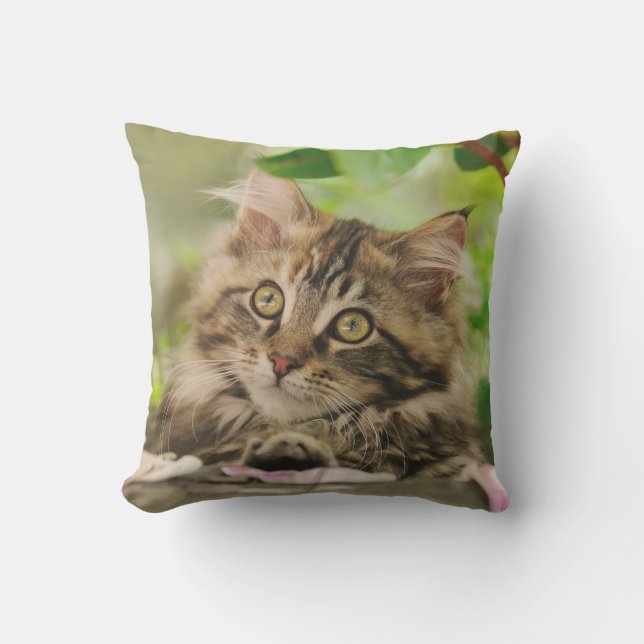 Niedliches Maine-Waschbär-Katzen-Kätzchen-Porträt Kissen (Vorderseite)