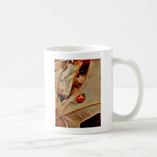 niedliches Marienkäferkostüm personifizieren Kaffeetasse