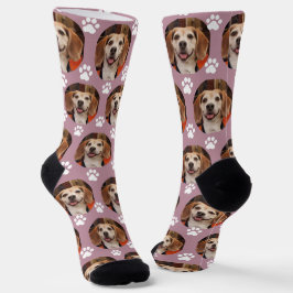 Niedliches Mauve Pet Foto & Paw Prints Hund oder K Socken