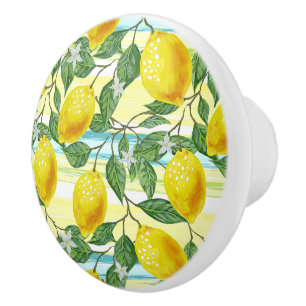 Niedliches mediterranes Sommerlemon Keramikknauf
