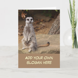 Niedliches Meerkat-Foto, um sich selbst zu individ Karte