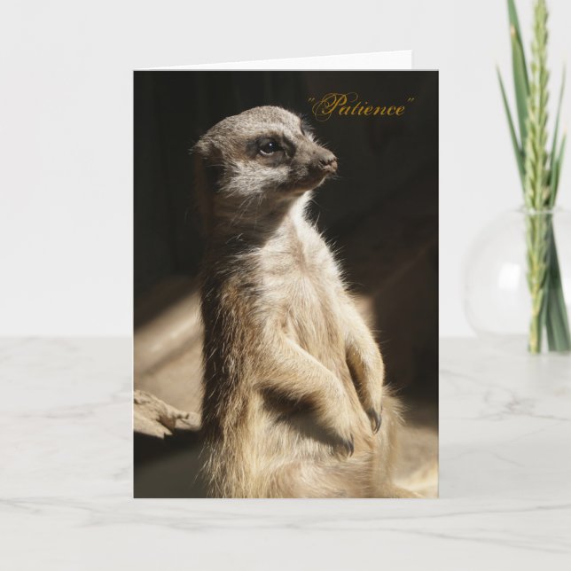 Niedliches Meerkat "Geduld" irgendeine Karte (Vorderseite)