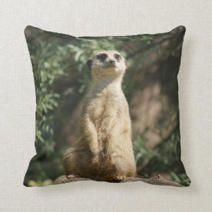Niedliches Meerkat Throw-Kissen Kissen