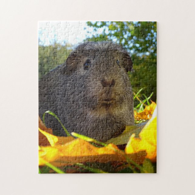 Niedliches Meerschweinchen in der Natur (Vertikal)