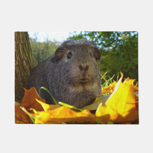 Niedliches Meerschweinchen in der Natur Fußmatte (Vorderseite)