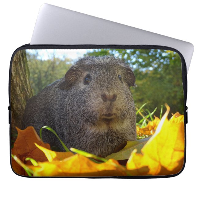 Niedliches Meerschweinchen in der Natur Laptopschutzhülle (Vorderseite)