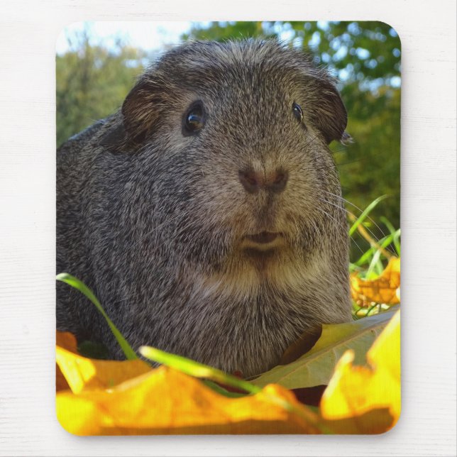 Niedliches Meerschweinchen in der Natur Mousepad (Vorne)