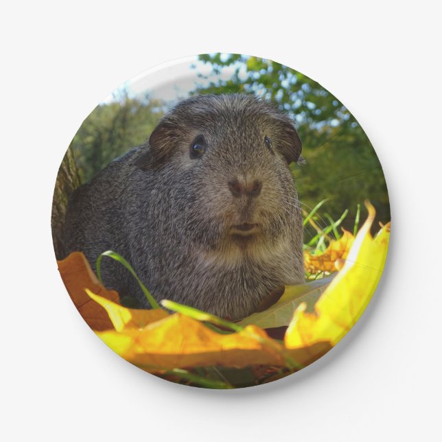 Niedliches Meerschweinchen in der Natur Pappteller (Vorderseite)