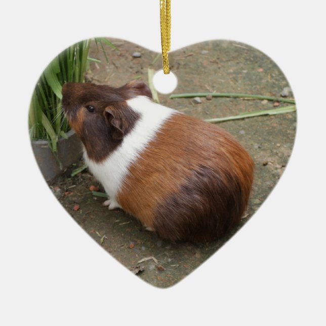 Niedliches Meerschweinchen Keramik Ornament (Vorne)