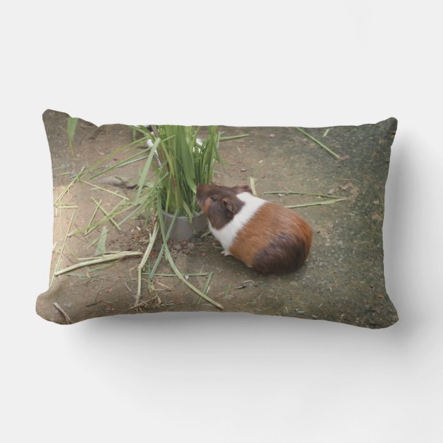 Niedliches Meerschweinchen Lendenkissen (Vorderseite)