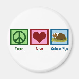 Niedliches Meerschweinchen Magnet