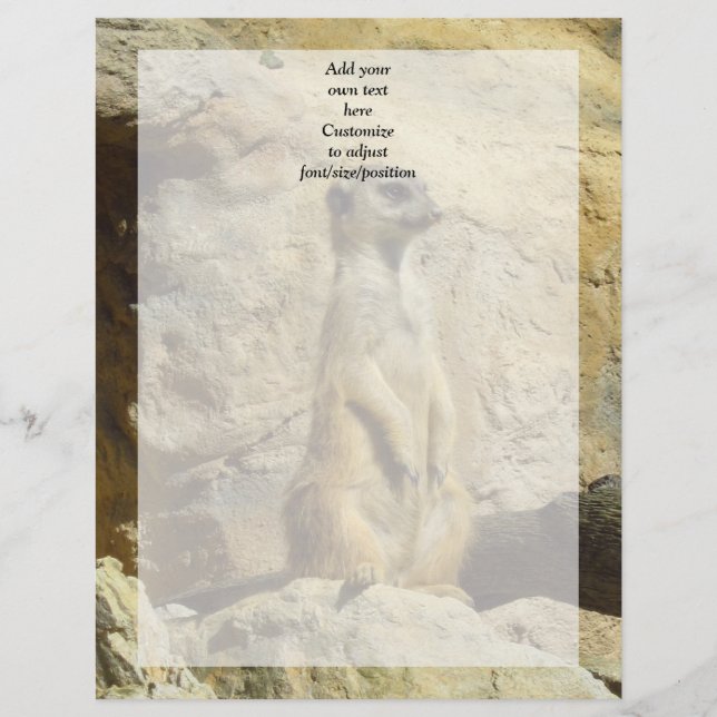 Niedliches Merkat-Foto (Vorderseite)