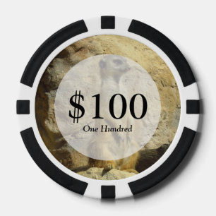 Niedliches Merkat-Foto Pokerchips
