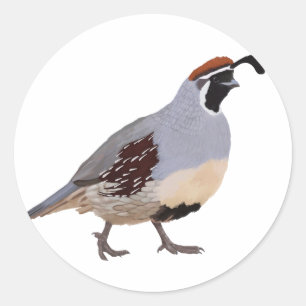 Niedliches Minimalquail Zeichnend Runder Aufkleber