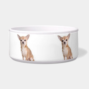 Niedliches modernes Chihuahua-Muster weiß Napf