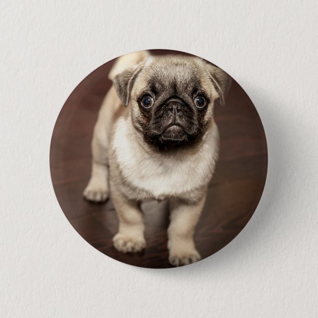 Niedliches Mops-Welpen-Foto Button (Vorderseite)