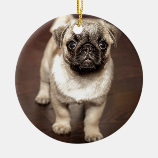 Niedliches Mops-Welpen-Foto Keramik Ornament (Vorne)
