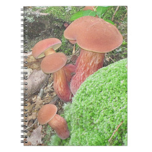 Niedliches Mushroom-Family-Notebook Notizblock