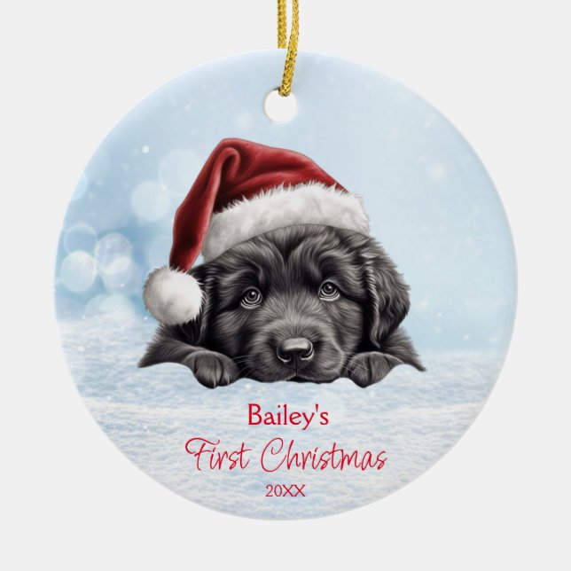 Niedliches Neufundland Hunde Schnee Weihnachtsmann Keramik Ornament (Vorne)