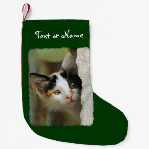 Niedliches neugieriges Katzen-Kätzchen-Foto - Kleiner Weihnachtsstrumpf