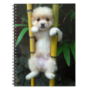 Niedliches Notebook Gaejook 개 죽 이 Notizblock