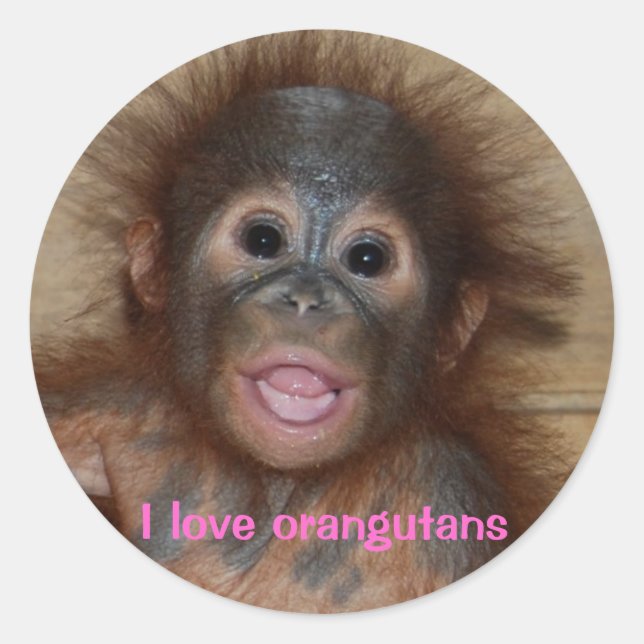 Niedliches Orang-Utan-Baby Runder Aufkleber (Vorderseite)