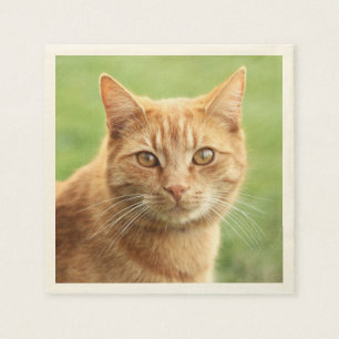 Niedliches orange Katzenporträt Serviette