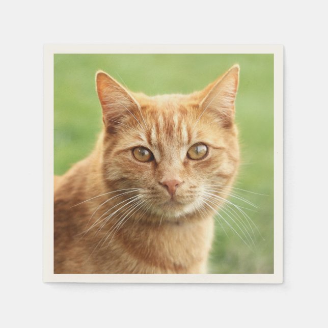 Niedliches Orangenkatzenportrait Serviette (Vorderseite)