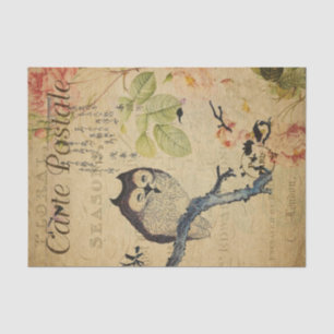 Niedliches Owl Pink Roses Französisch Ephemera Dec Seidenpapier