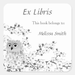 Niedliches Owl White Gray   Ex Libris Name hinzufü Quadratischer Aufkleber