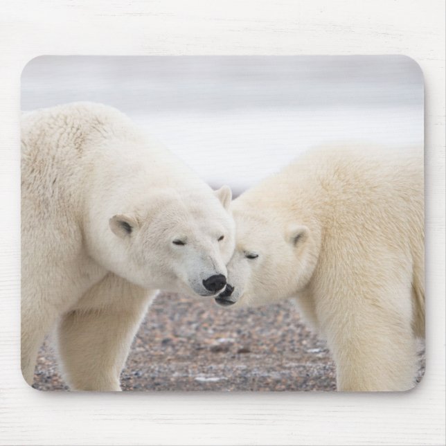 Niedliches Paar liebender Polarbären Mousepad (Vorne)
