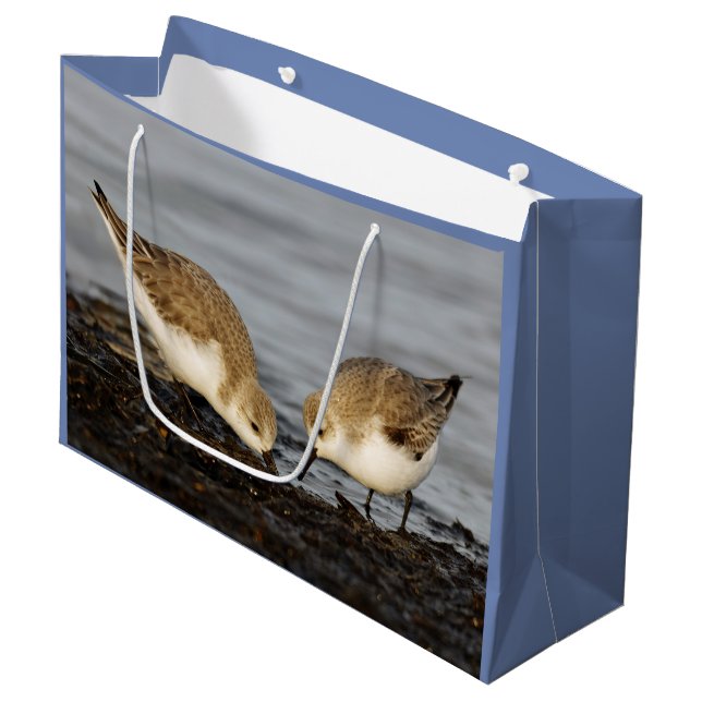 Niedliches Paar Sanderlings Sandpipers Shares a Me Große Geschenktüte (Vorderseite Schrägansicht)