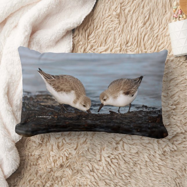 Niedliches Paar von Sanderlings Sandpipers Shares Lendenkissen (Decke)