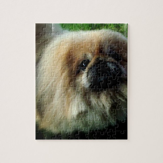 Niedliches Pekingese Puzzlespiel (Vertikal)