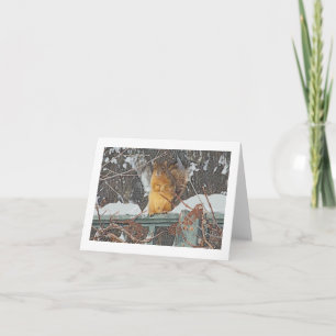 "NIEDLICHES PELZeichhörnchen AUF SCHNEEBEDECKTEM Karte