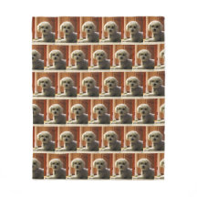 Niedliches Pet Warm Fleece Blanket