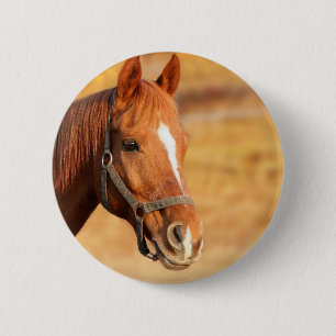 NIEDLICHES PFERD BUTTON
