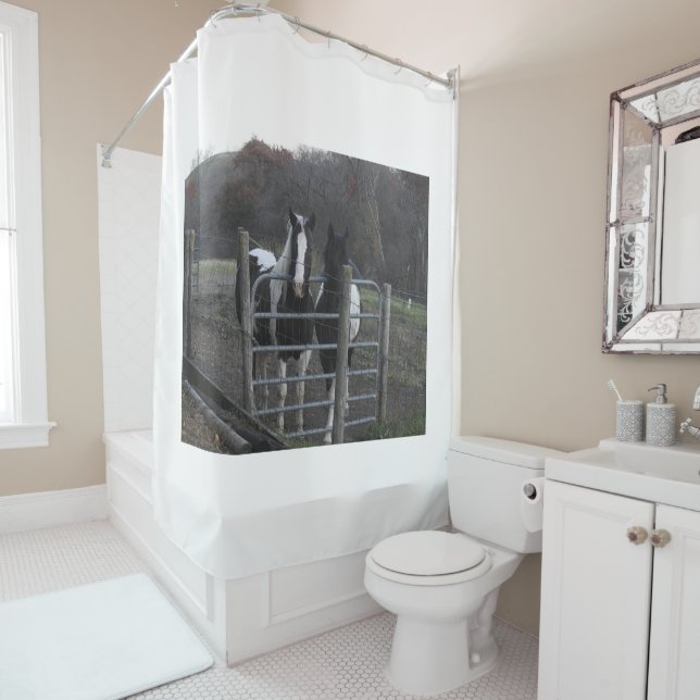 Niedliches Pferd Foto, Verlass dieses Bild oder än Duschvorhang (Beispiel)