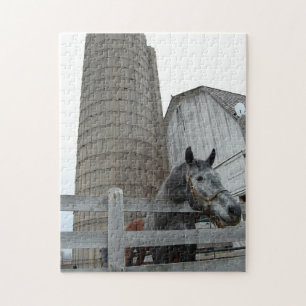 Niedliches Pferd und Silo