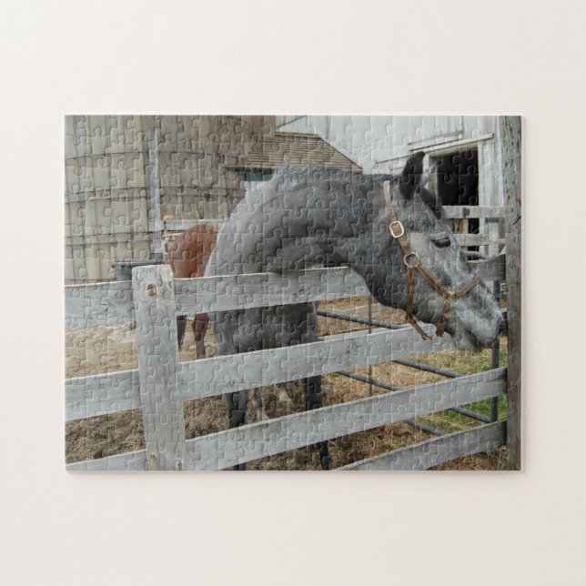 Niedliches Pferd vor einer Scheune (Horizontal)